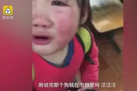 感动！萌娃捡到奶狗藏书包，被发现后怕狗狗被扔大声痛哭图片