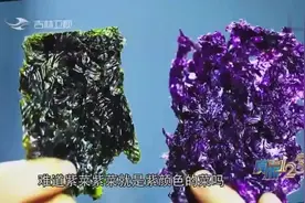 塑料紫菜究竟是真是假？专家现场给出专业答案，快来看一下吧视频封面