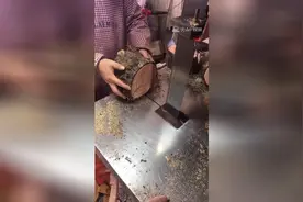 这是干嘛？你就不怕割到手吗？视频封面