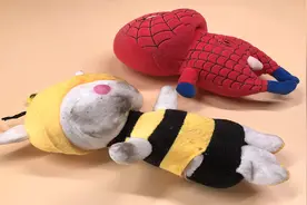 毛绒玩具还在用水清洗吗？用这个摇一摇，快速去污巧洗白