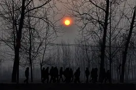 正月十三，传承千年的马街书会如约而至 | 豫记图片