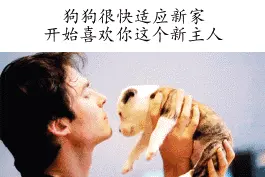 宠物：养狗后的9个幸福瞬间图片