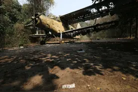 还记得这里吗？一个荒废的公园 一架古旧的飞机...图片