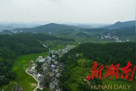 邵阳县河伯乡凡水村惊现亿年前的石燕子图片