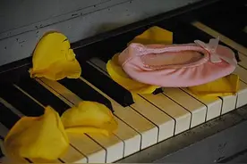 不会跳舞吗？你不是孤单的一个人图片