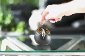 这货是啥？简直萌炸了！图片