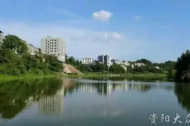 安岳长河源镇万亩油菜花迎着春风怒放，大美景致等你品鉴图片