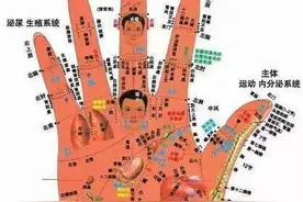盘玩文玩靠手指在掌心不停旋转，是手部最好的运动之一！图片