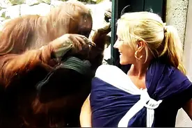 当她正要望向玻璃里的红毛猩猩时，她发现红毛猩猩正往我的怀里看图片