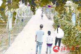 富强种植家庭农场开园啦图片