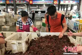 潜江挖掘小龙虾全身宝 虾壳“变废为宝”出口欧美图片