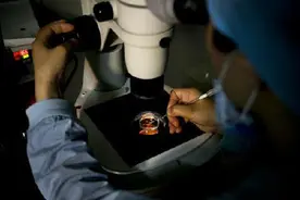 单身女性生育权之困：试管受孕上户口都要已婚，怕孩子找爸爸图片