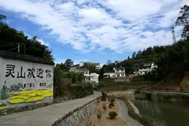 从三张“通知公告”看灵山“新时代”图片