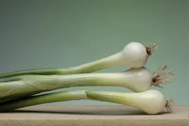 葱白泡水喝的禁忌图片