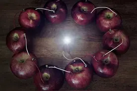 来自原始的力量：水果也能发电图片