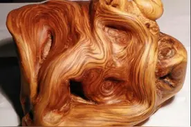 手雕崖柏手把件 小蜗牛相当拉风图片