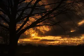 小说：是我让孙悟空去追求不死不灭的奥义图片