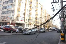 挂车将哈市道外区一处电缆线刮掉 砸到路边一辆公交图片