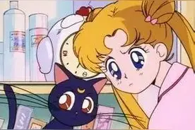 颤抖吧！铲屎官们！图片