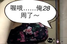 28周看肚肚照都说是女宝，然而23周拍B超我就已经看清一切图片