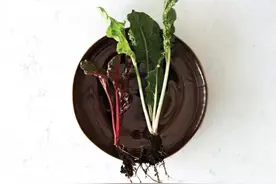 选建材 | 你真的懂石英石台面吗？图片