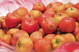 肠梗阻患者饮食护理 遵循5大原则图片