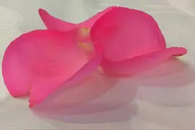 警营文化｜诗歌：思念化作雨图片