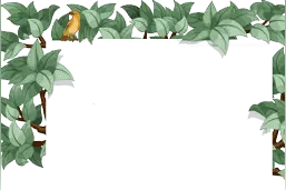 花之声｜风信子图片