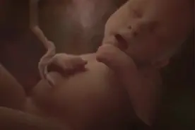 3D动画演示胎宝宝在妈妈肚子里，都是怎么活动的视频封面