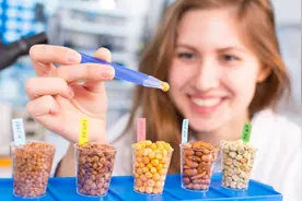 「深度」光怪陆离的“辟谷”养生图片