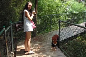 宿舍党也能轻松练出马甲线：超详细训练&饮食经验分享图片