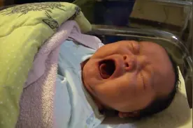 新生儿宝宝饿的不停张嘴寻乳，爸爸不懂就知道拍，真是急死人！视频封面