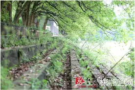 曾经的中南林科大，株洲最安静的老校园 /组图图片