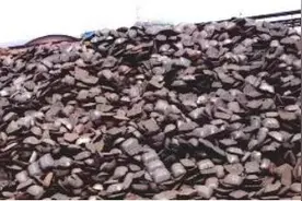 跟我识中药 | 铁屑也可当良药——生铁落图片