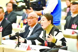 2018武汉两会|人大代表李珂静：建议取消阳逻大桥过桥费图片