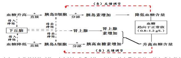 期末复习｜高中生物必修1-必修3知识点详解，不看你就亏了！