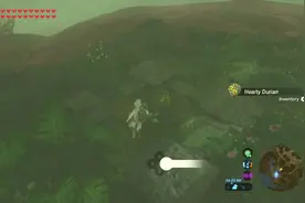 塞尔达传说荒野之息，刷榴莲的地点