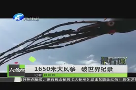 1650米大风筝 破世界纪录视频封面
