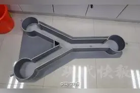 小龙虾是在污水吃腐肉长大的？看完吃货们都惊呆了！图片