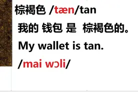 自然拼读单词：棕褐色/tæn/tan棕褐色的钱包tan wallet