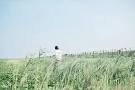 你一定要努力，但千万别着急图片