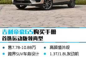 首选运动版领尚型 吉利帝豪GS购买推荐图片