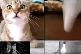 给喵星人看恐怖片，它会有什么反应？结果是，它竟然吓“飞”了！图片