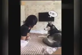 小狗嫌弃主人唱歌难听，一脚踢开视频封面