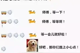 哈哈！笑惨了！汪星人版追公交！图片