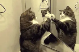 用好路由器设置！春节期间让家人都能快速上网图片