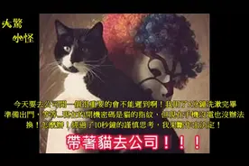 心血來潮用貓指紋做手機解鎖結果   網友：從頭笑到尾视频封面