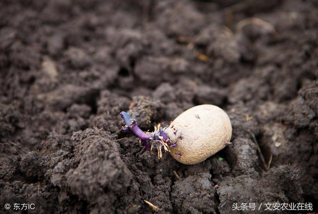 鐢熺墿鍒烘縺绱犳渶鍏ㄨВ閲婏紝浜斿ぇ绫伙紒