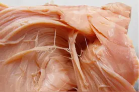 农民140斤太岁肉灵芝价格每斤竟达十万元图片