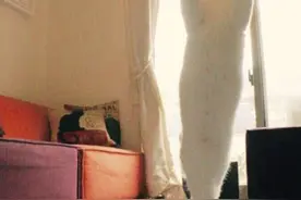 日猫咪芭蕾舞姿走红网络吸粉近4万图片